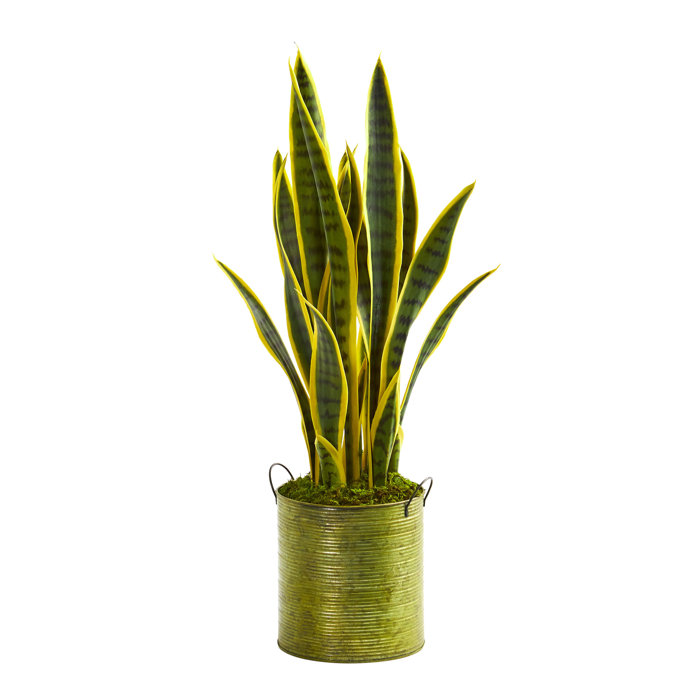 Wrought Studio 16.5" Artificial Snake Plant in Planter Wayfair